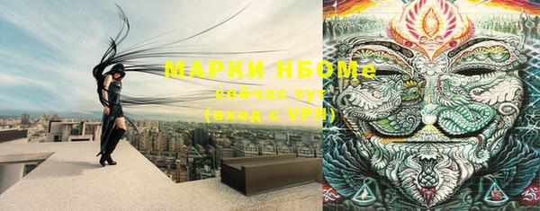 МДПВ Алзамай