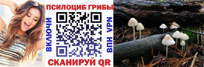 Галлюциногенные грибы Cubensis Мензелинск